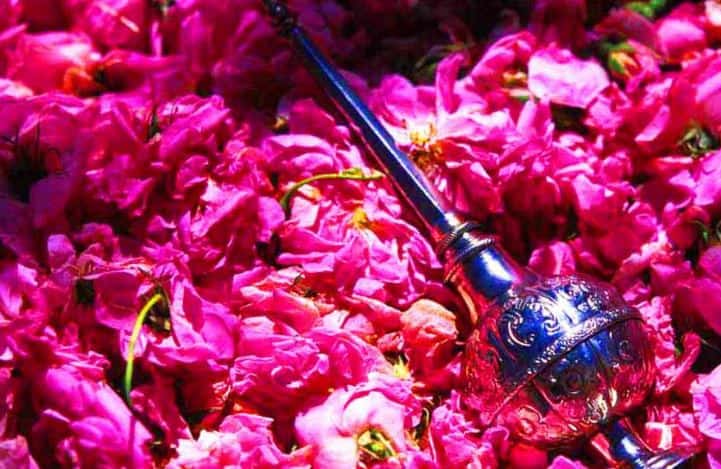تصویر 4 از گلاب چهل حقیقت دادجو تهیه شده از گل های مرغوب